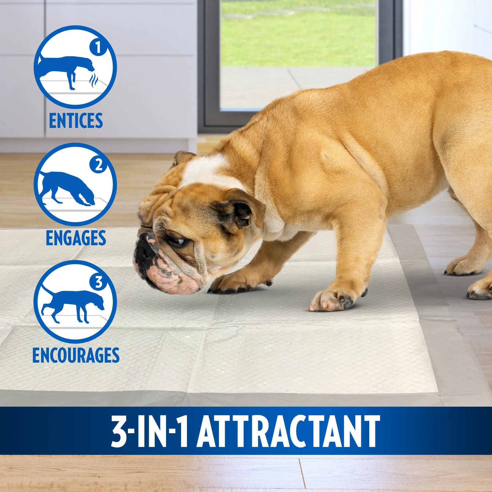 3 Pack Heavy Duty XXL Dog Pads | Absorbent Pet Training and Puppy Pads | 30 Pad