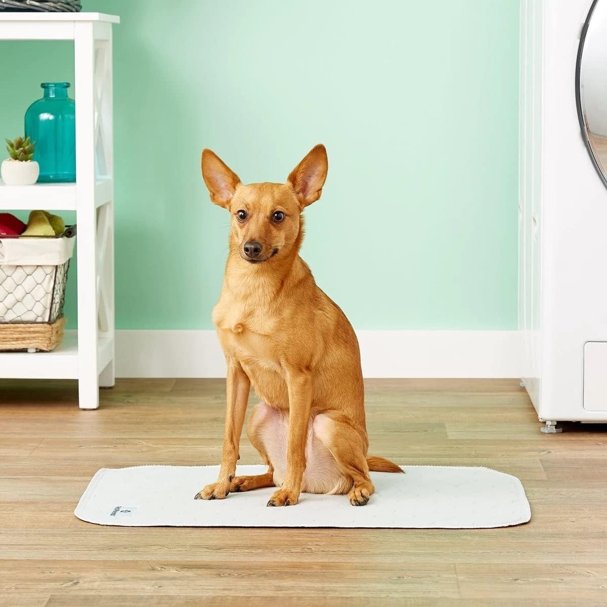 Multi-Use Pawtect Pee Pads – 2 Pack 18×24 Dog Training Pads for Easy Care