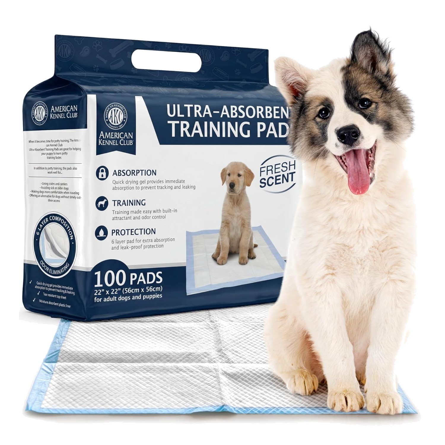 Fresh Scented Puppy Pads – 22 x 22 Inches, Quick-Dry Gel for Dogs, Pack of 100