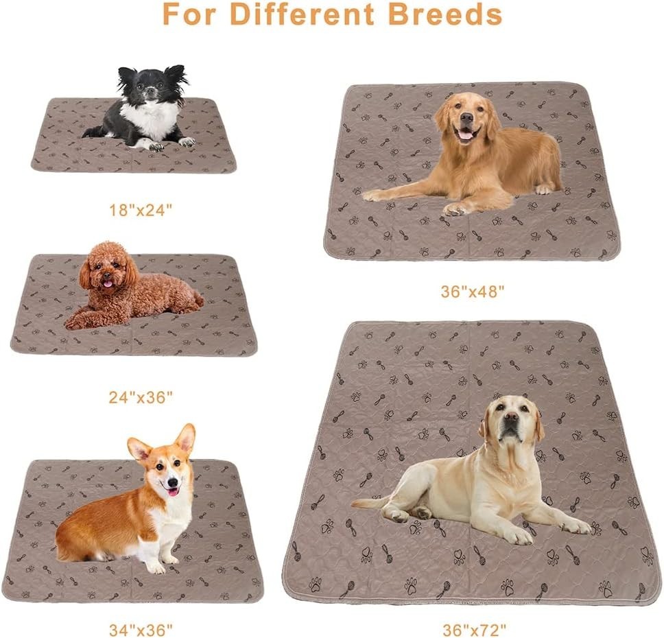 Waterproof 2-Pack Absorbent Puppy Pads 36×72 + Dog Comb – Money-Saving Solution