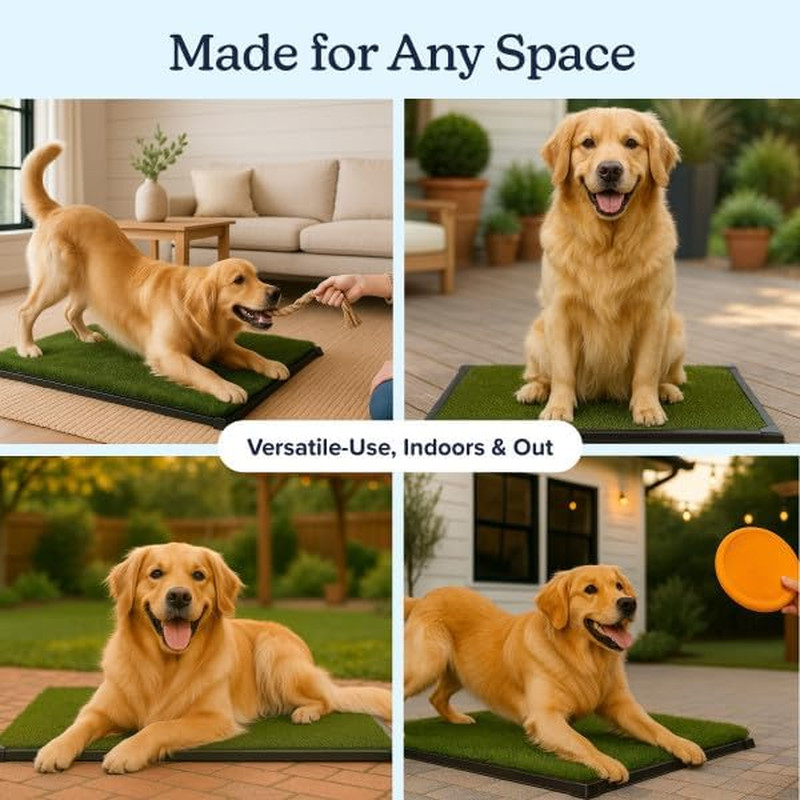 Artificial Grass Puppy Pee Pad for Dogs and Small Pets with Tray – 20X30 Inches