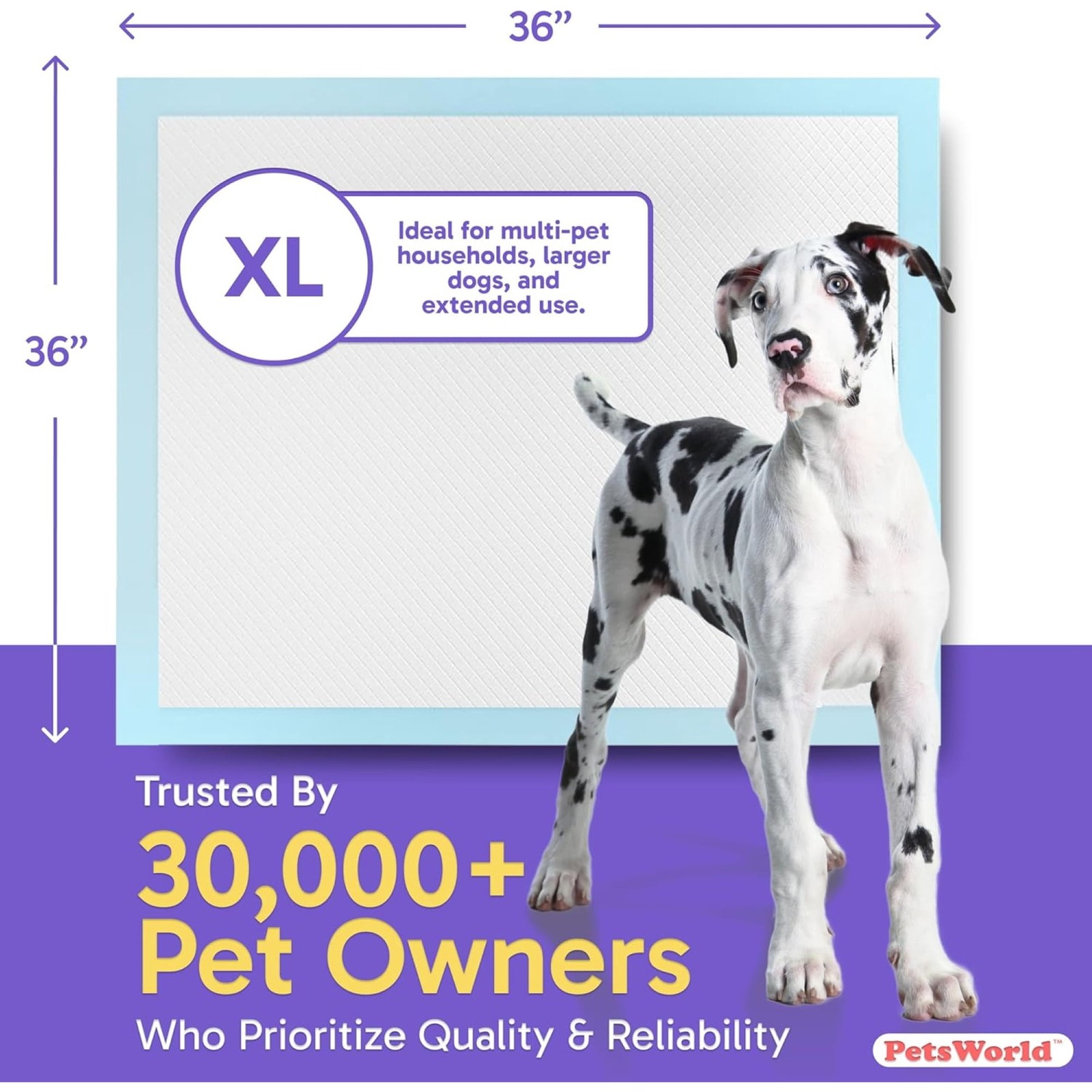 Gigantic Dog Training & Potty Pads (36×36 inch) 150 Ct Hot Sale
