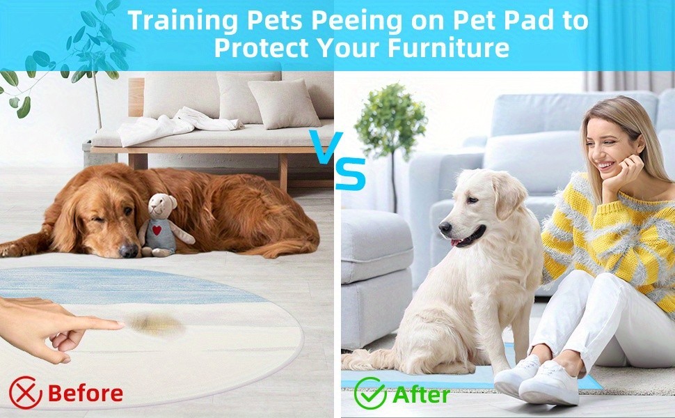 50 Count Large Dog & Cat Puppy Pee Pads – 23.6″x23.6″ Absorbent Potty Training