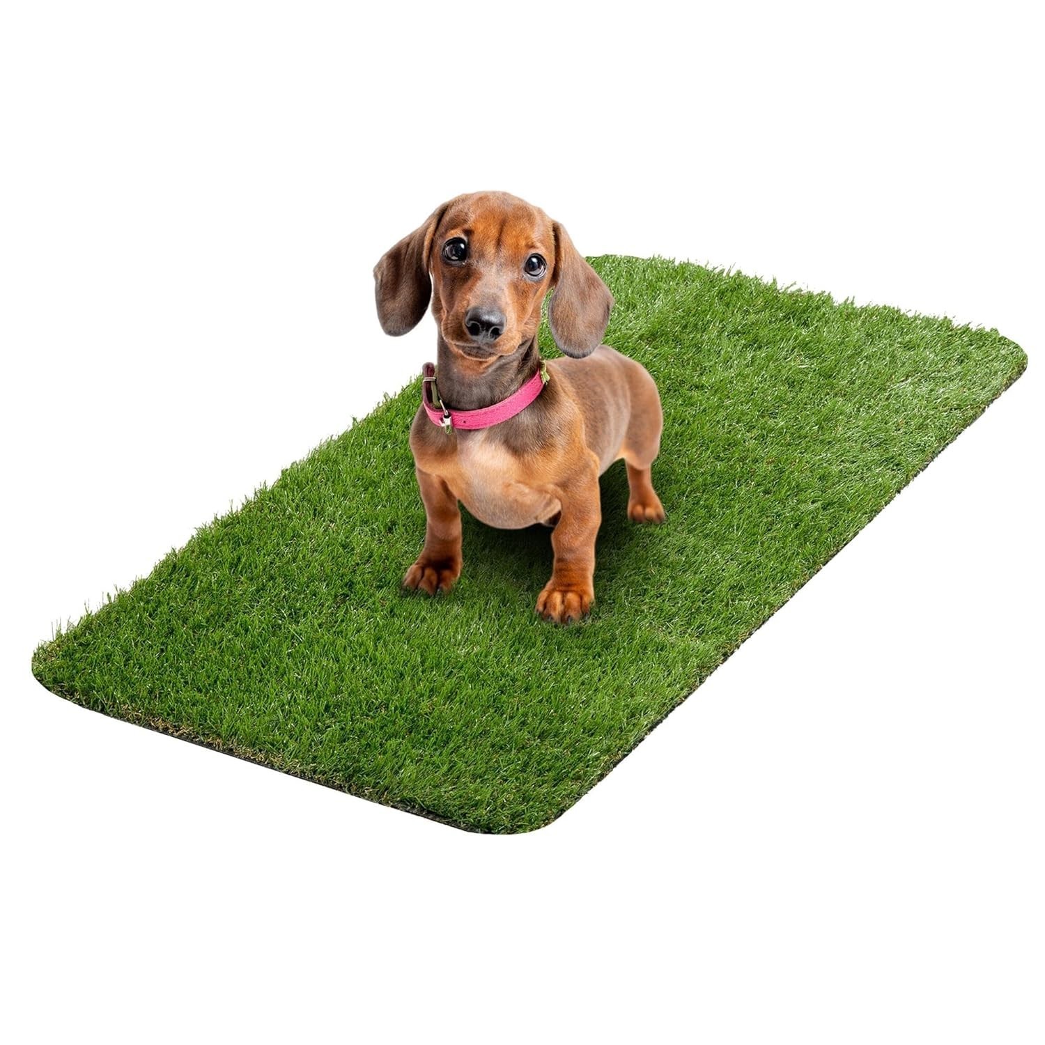 Reusable Artificial Grass Pee Pad 15″ x 30″ – Ideal for Indoor Potty Training