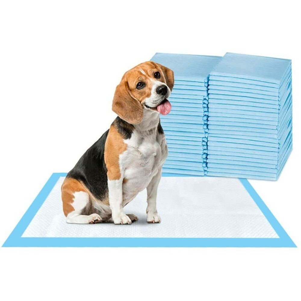 Super-Absorbent Waterproof Dog & Puppy Pet Training Pad Housebreaking Pet Pad US