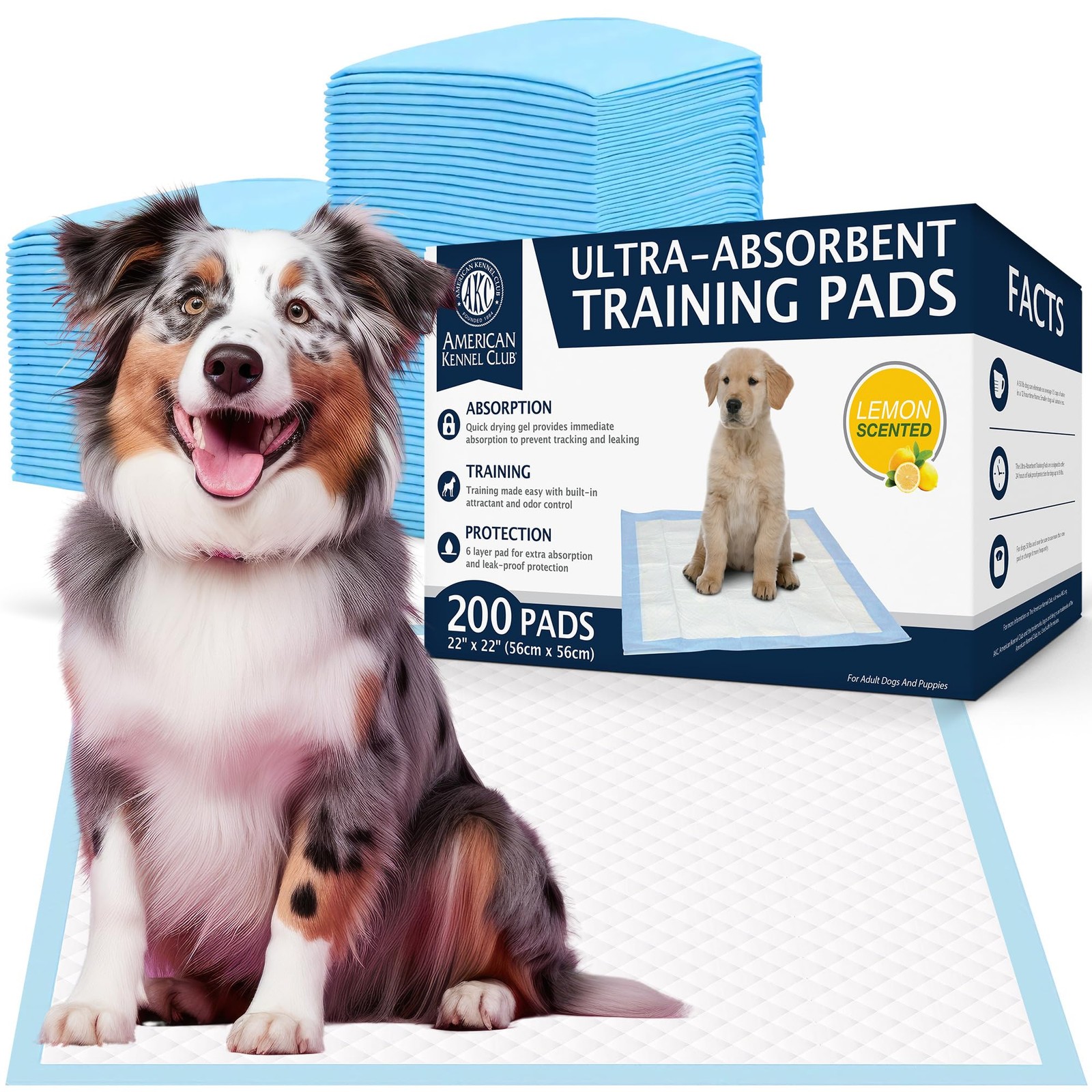 Scented Puppy Training Pads with Ultra Absorbent Quick Dry Gel – 22 x 22 Pee …