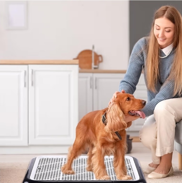 Mifoci Dog Pee Pad Holder Potty Tray Portable Dog Litter Box Toilet Training for