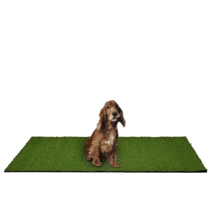 Durable Puppy Pee Pad Antibacterial Grass Surface W/ Easy Drainage Cleaning New