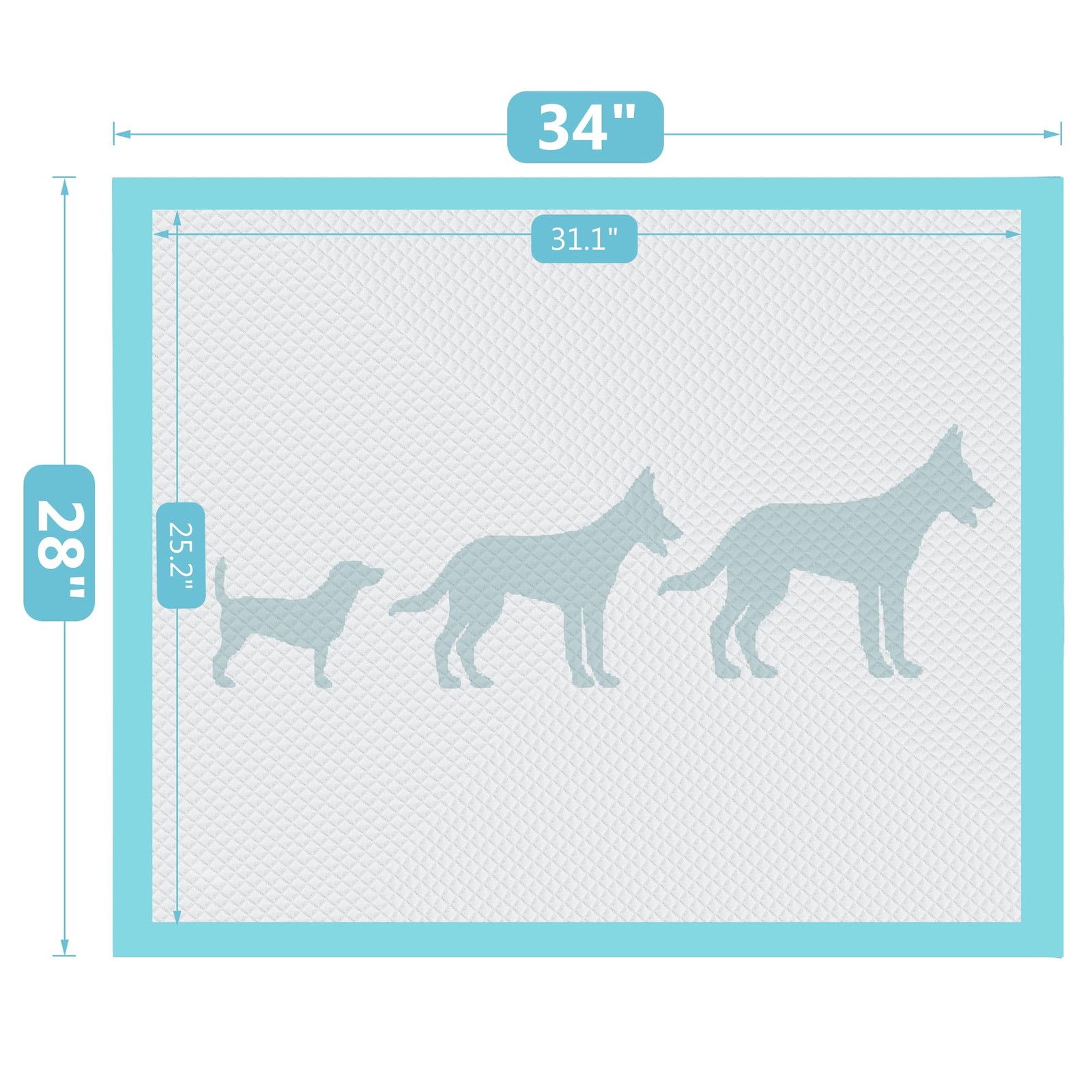 BESTLE Extra Large Pet Training and Puppy Pads Pee for Dogs 30-count
