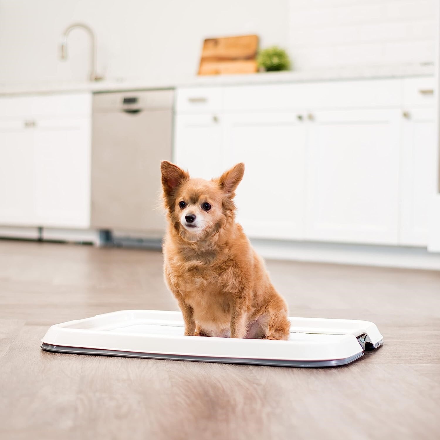 Inodoro Portátil de Entrenamiento para Perros Orinal de Interior para Mascotas