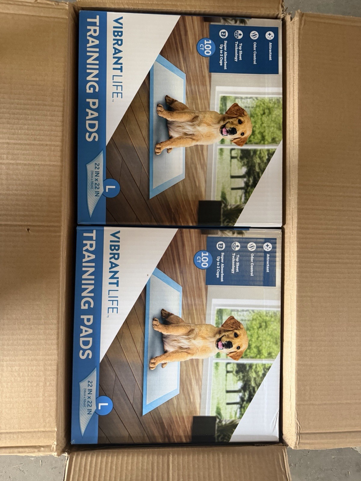 Vibrant Life Training Pads, Large, 22 in X 22 In, 400 Count