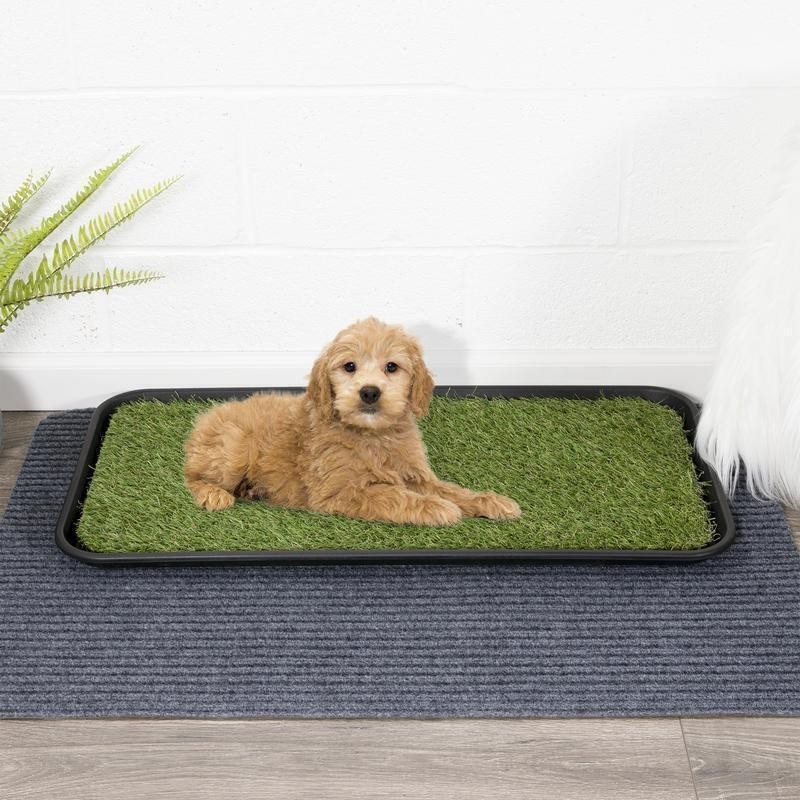 Non-Slip Heavy Duty Indoor Outdoor Pet Care Tray 15″ x 30″ W/ Reusable Grass Pad