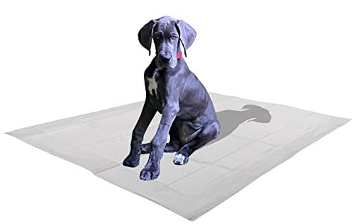 100 Count X-Large Leak-Proof Pee Pads with Attractant Scent for Potty Training