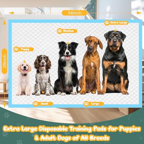 60 Count Extra Large Dog Pee Pads 28″ x 34″ Super Absorbent Leak-Proof Puppy Pad