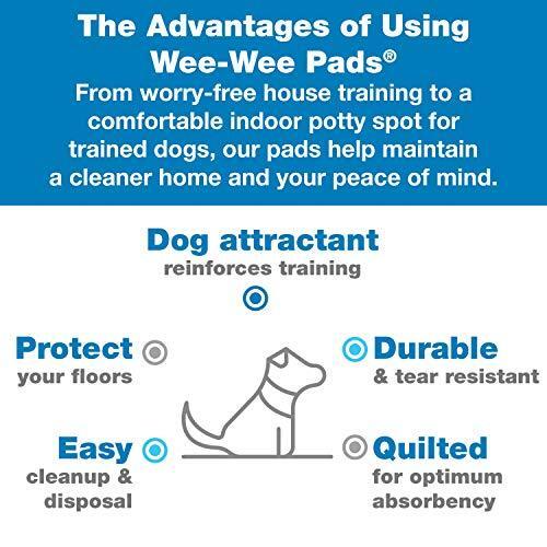 Wee-Wee Puppy Training Pee Pads 150-Count 22″ x 23″ Standard Size Pads for Dogs