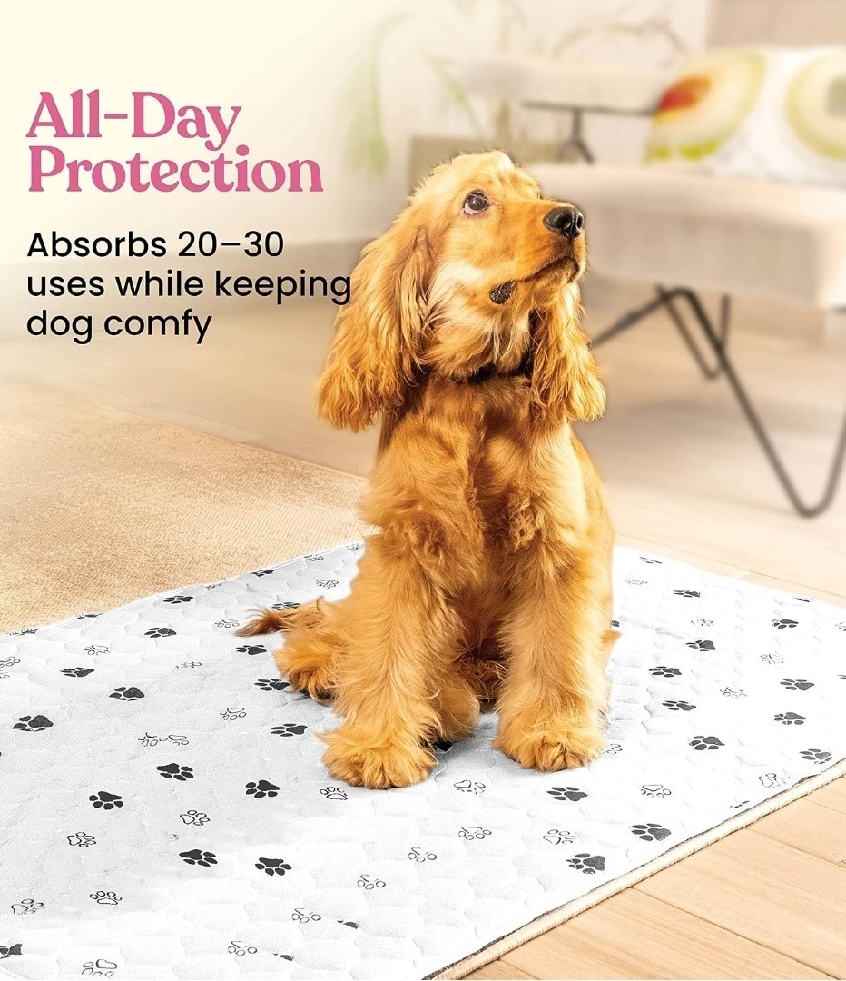 36″x48″ Super Absorbent Washable Pee Pads for Dogs 2 Pack