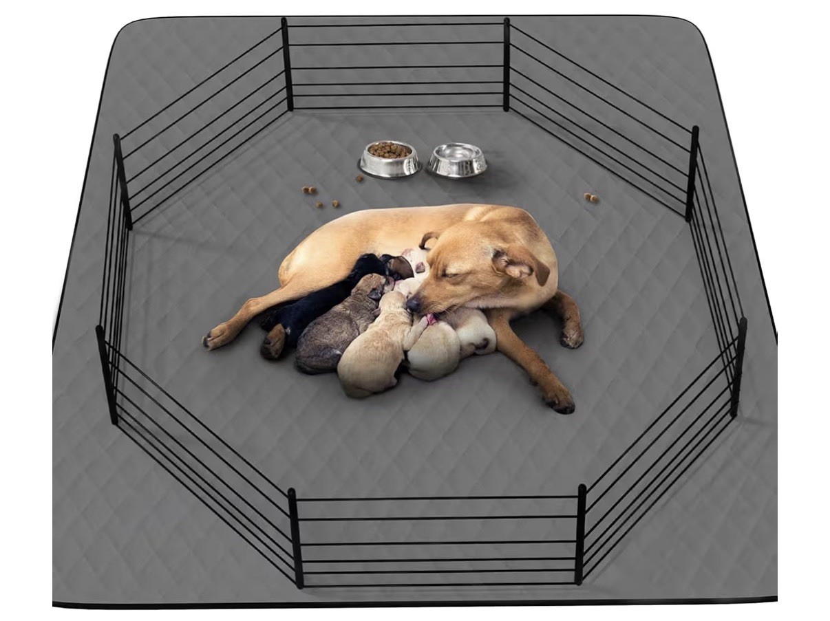 48×65 Waterproof Machine Washable Pet Pad Cool Shields Kennels Cover Couch Bed