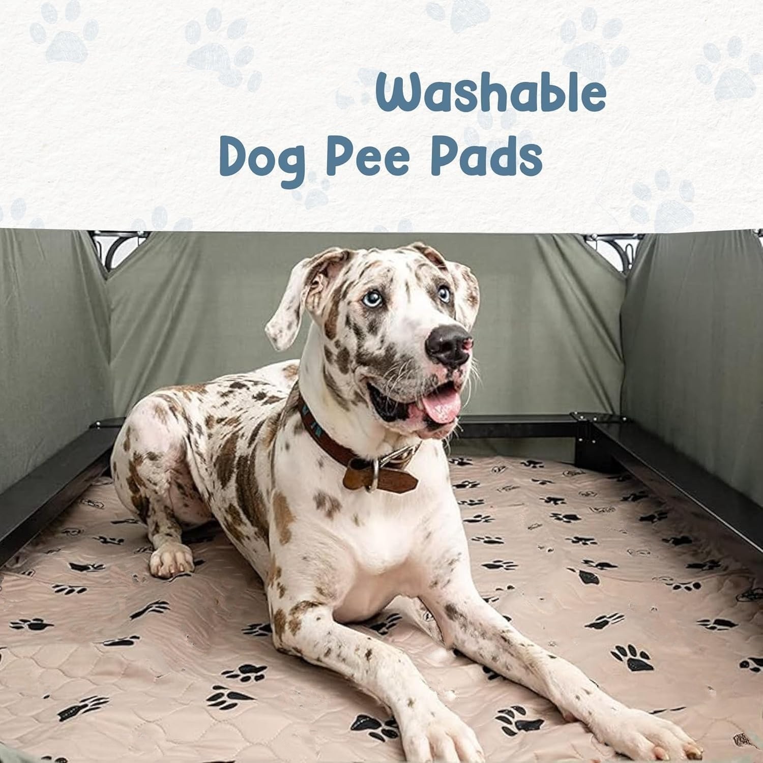 Juego de 2 Tapetes de Entrenamiento Lavables e Impermeables para Perro