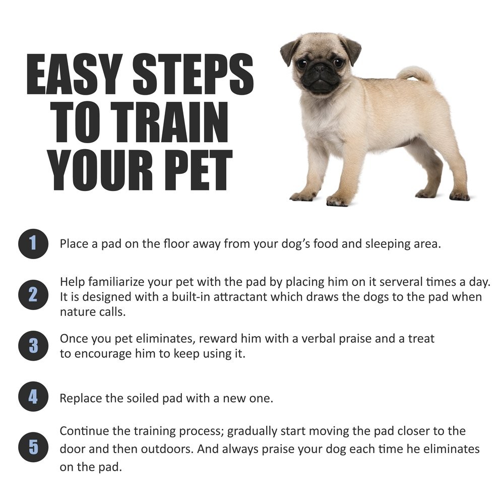 BV Pet Potty Training Pads for Dogs Puppy Pads, Pee 50 Count (Regular), Blue