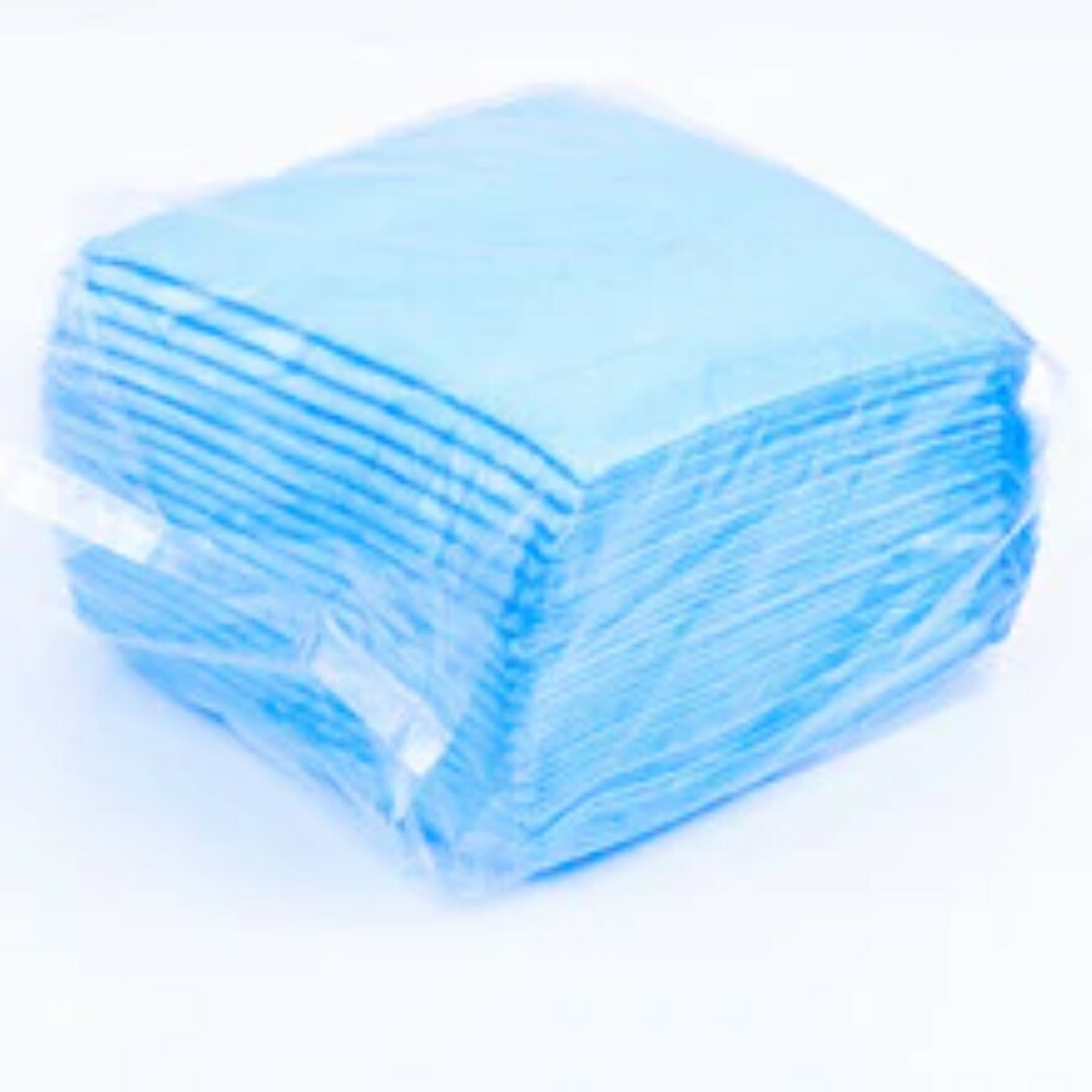 300ct 23×36 Atta Boyz Econo Quilt Xtra Absorb Puppy Training Piddle Pads 4ply