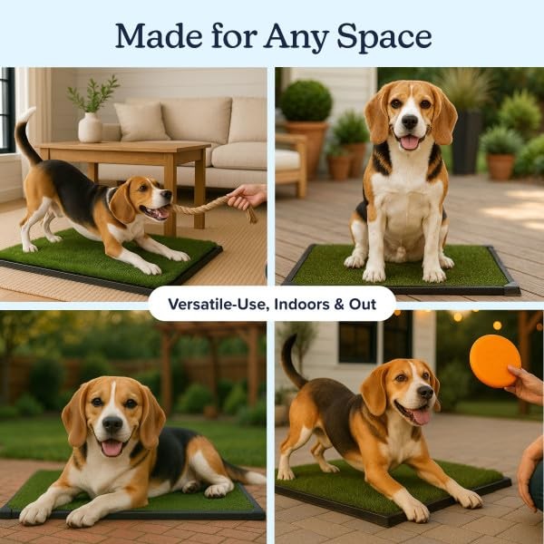 Artificial Grass Puppy Pee Pad for Dogs and Small Pets – 20×25 Inch, Reusable…