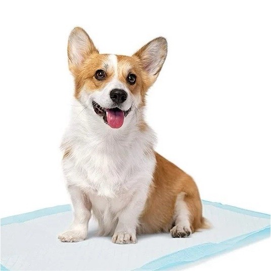 Super Absorbent Dog Diapers – Size L | 40 Pack Leak-Proof Protection