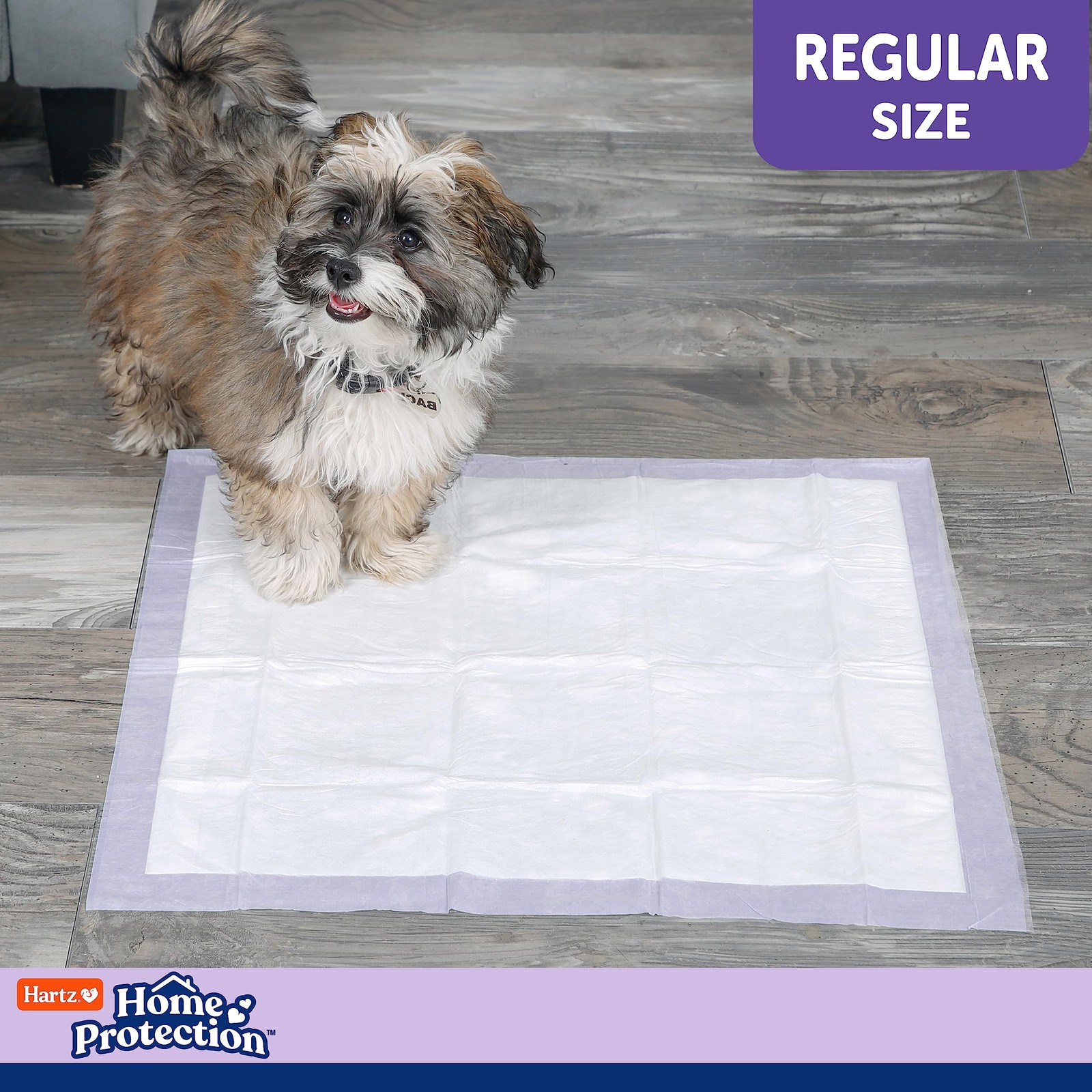 Hartz Home Protection Lavender Scented Dog Pads, 21 x 21 (50 count),