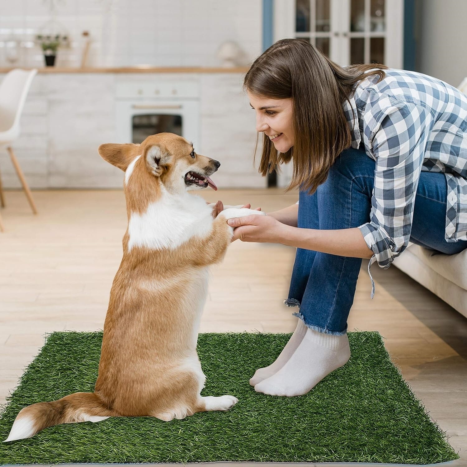 Almohadilla De Entrenamiento Portátil Para Perros Y Mascotas Pequeñas 20″ X 25″.