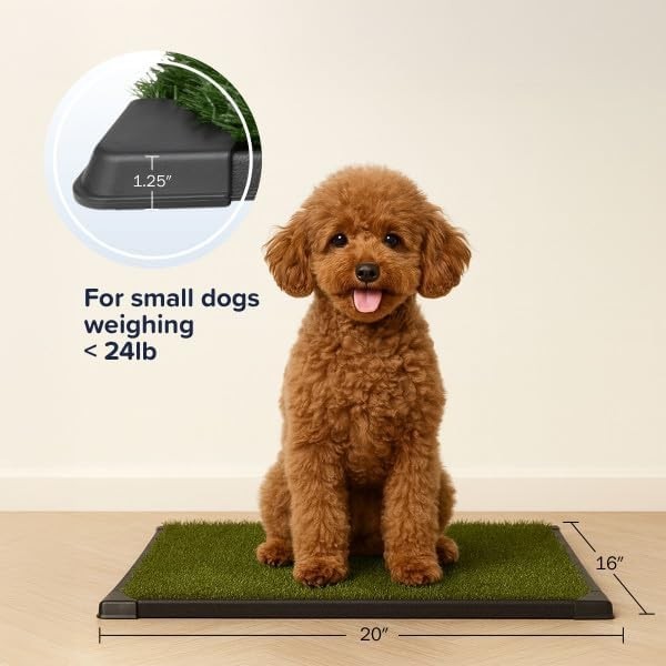 Washable Pet Housebreaking Pad with Tray – 16×20 Inch for Small and Medium Dogs
