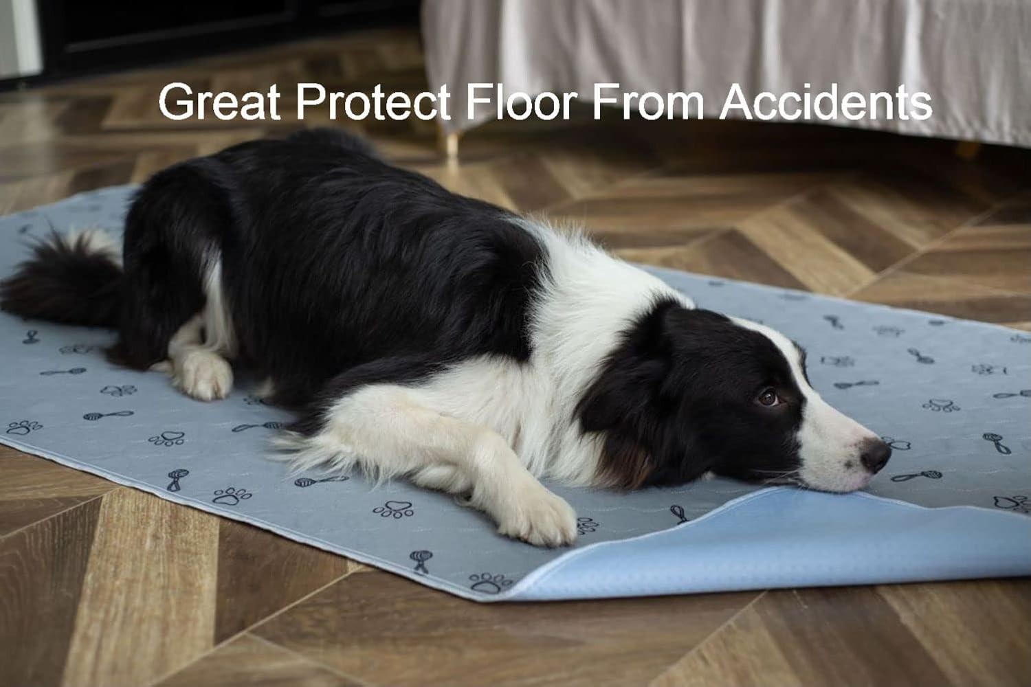 Waterproof 2-Pack Absorbent Puppy Pads 36×72 + Dog Comb – Money-Saving Solution