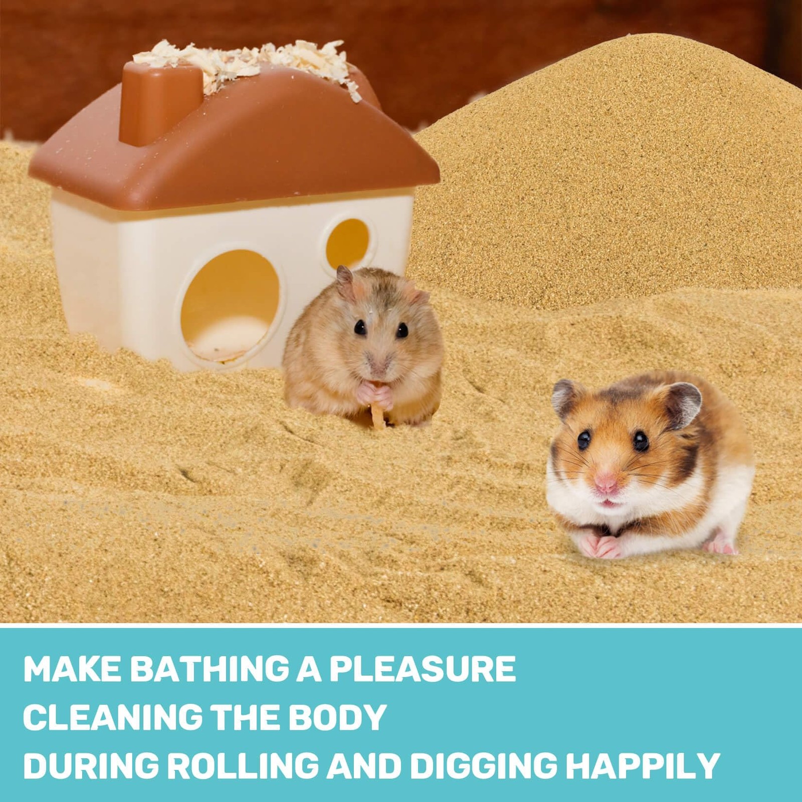 Sukh Hamster Desert Sand 15OZ – Fine Bath for Reptile 15 OZ, Brown