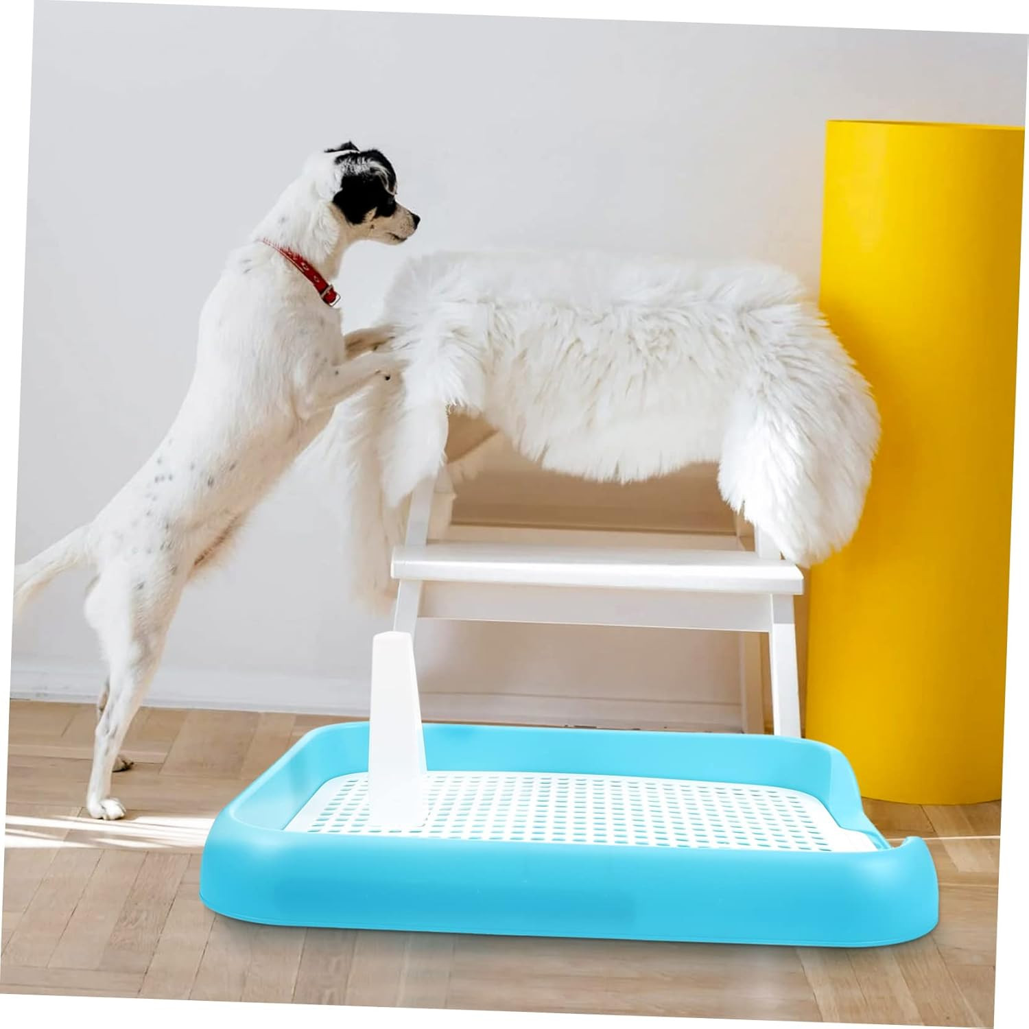 Indoor Dog Potty Tray with Non Slip Design for Small and Pets Easy to Clean Mesh