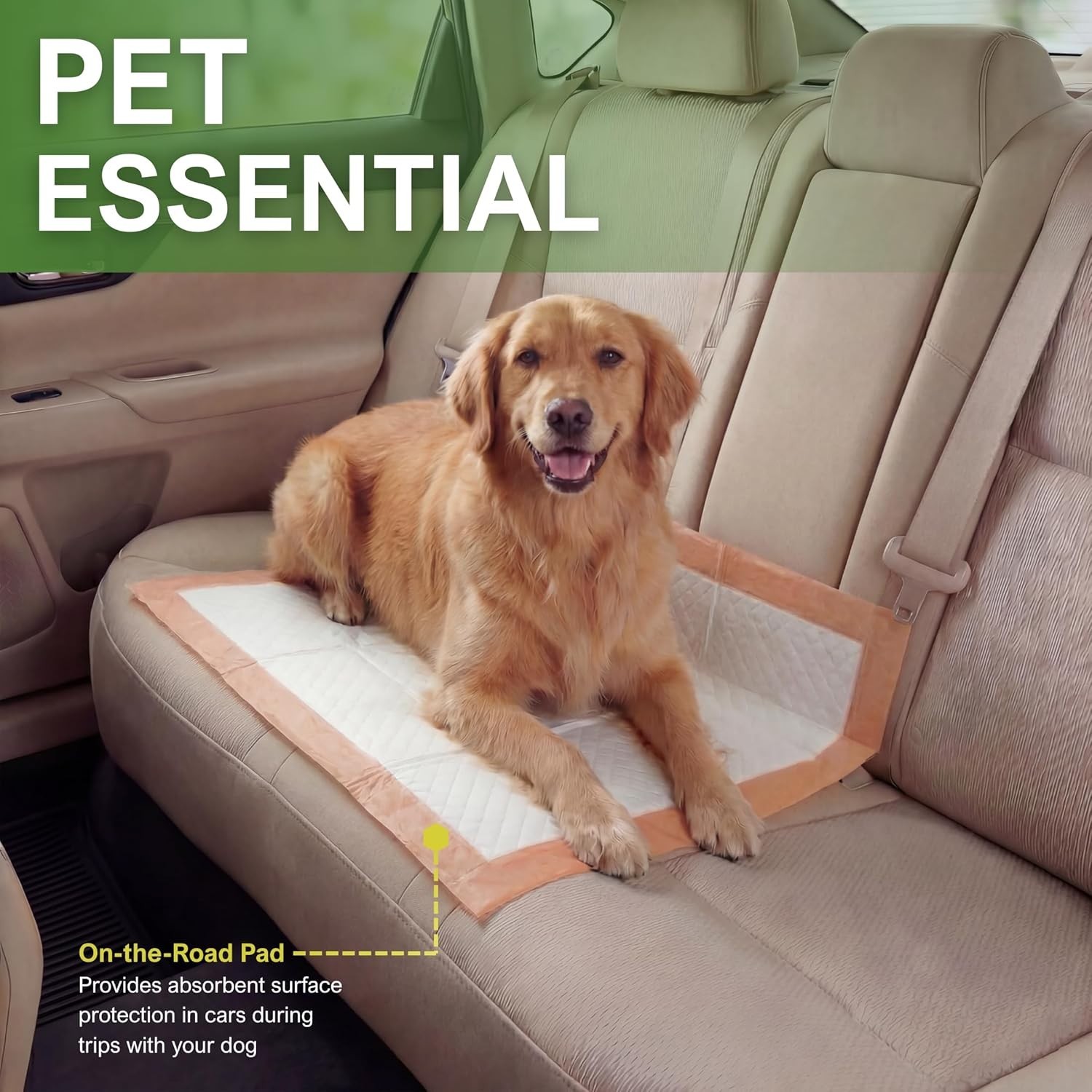 22×24 Inch Dog Training Pads with Attractant 5 Count Travel Pack Peach