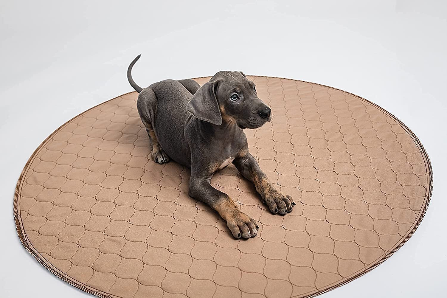 60 Inch Round Reusable Dog Pee Pad Washable Waterproof Potty Whelping Mat