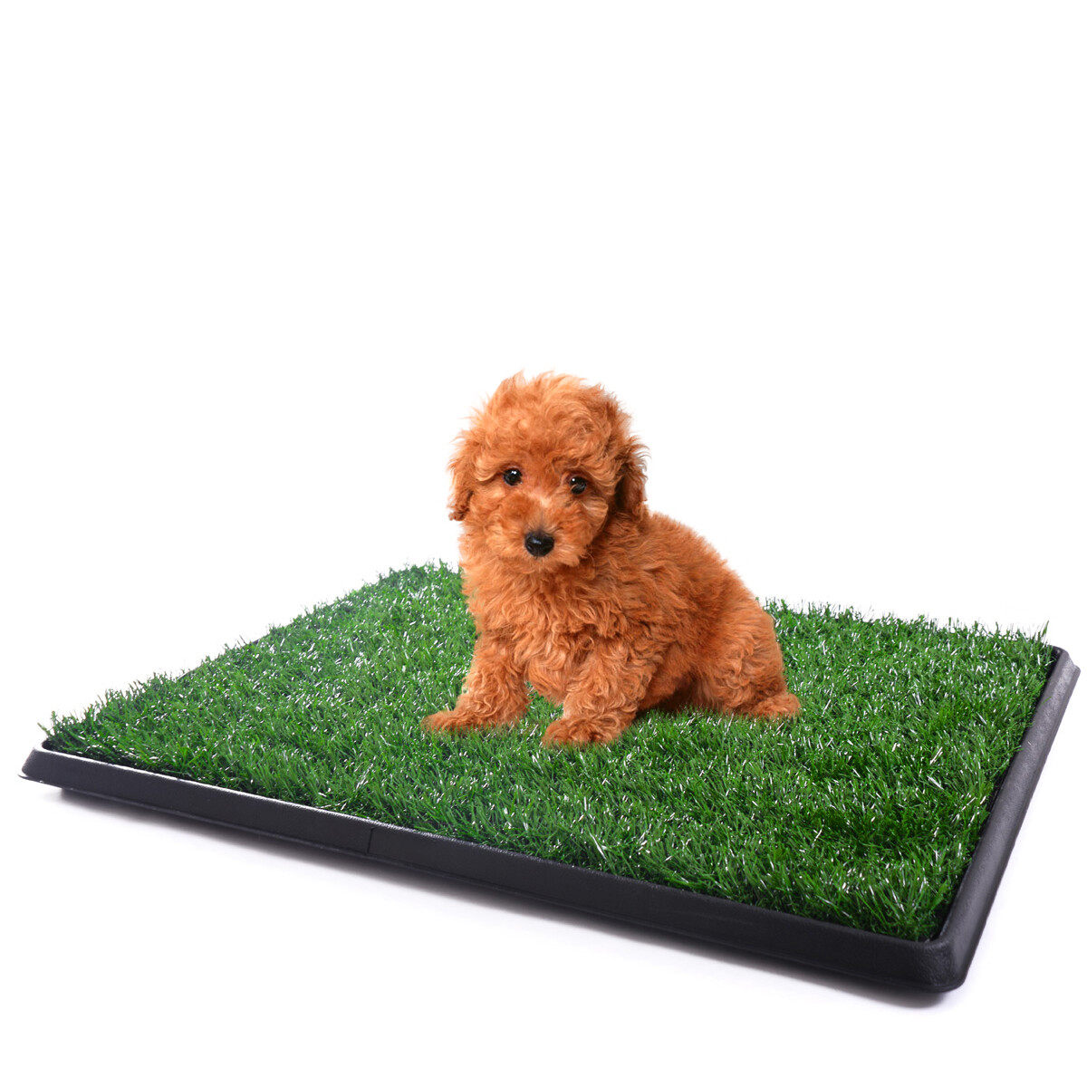 2 Size Pet Potty Trainer Grass Mat Dog Puppy Training Pee Patch Pad Toilet