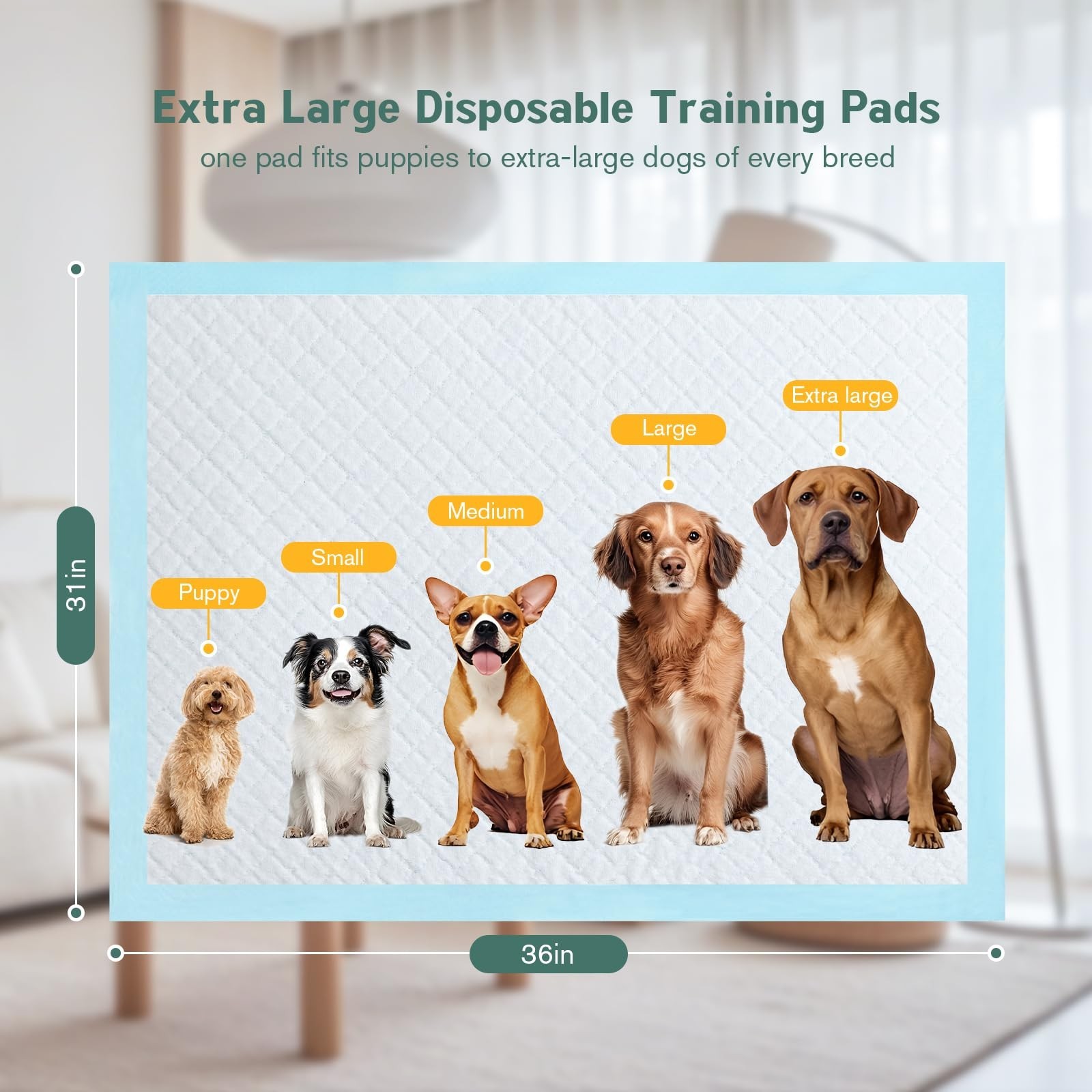 Large Puppy Pee Pads for Dogs 31″ x 36″ 60 Count, 6-Layer Leak-Proof XXL Dog …