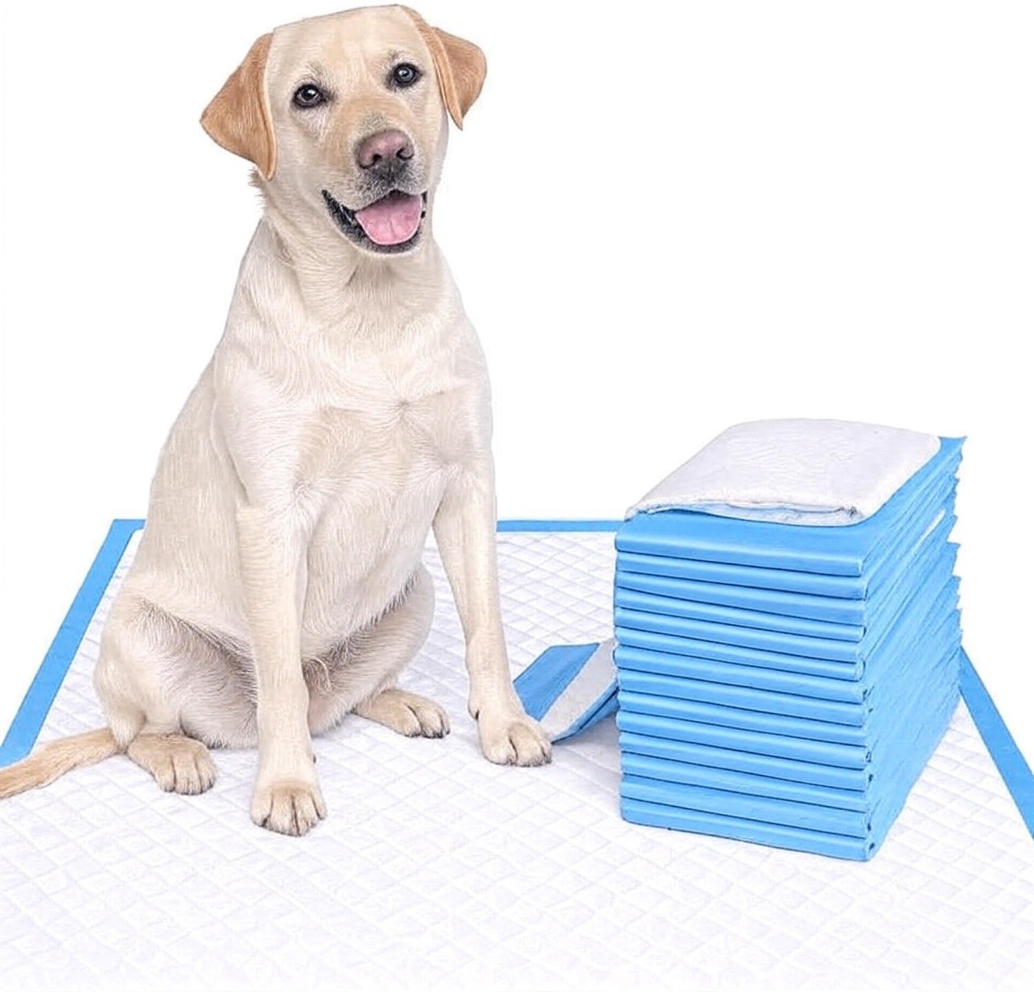 Pet Training Pads for Dogs 5 Layer Protection Leak Proof Technology Quick Drying