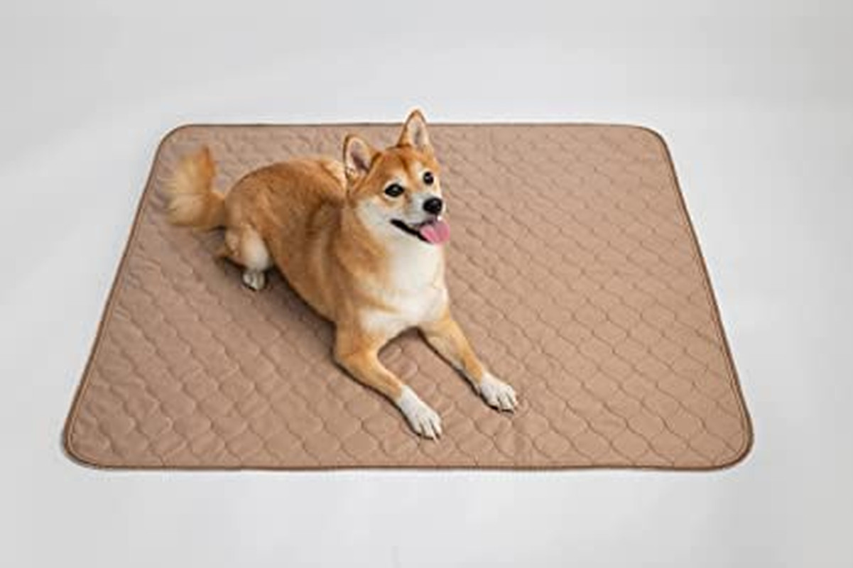 Reusable Dog Pee Pad, Waterproof Mat for Dogs and Puppies, 41″X41″ W/ Grommets