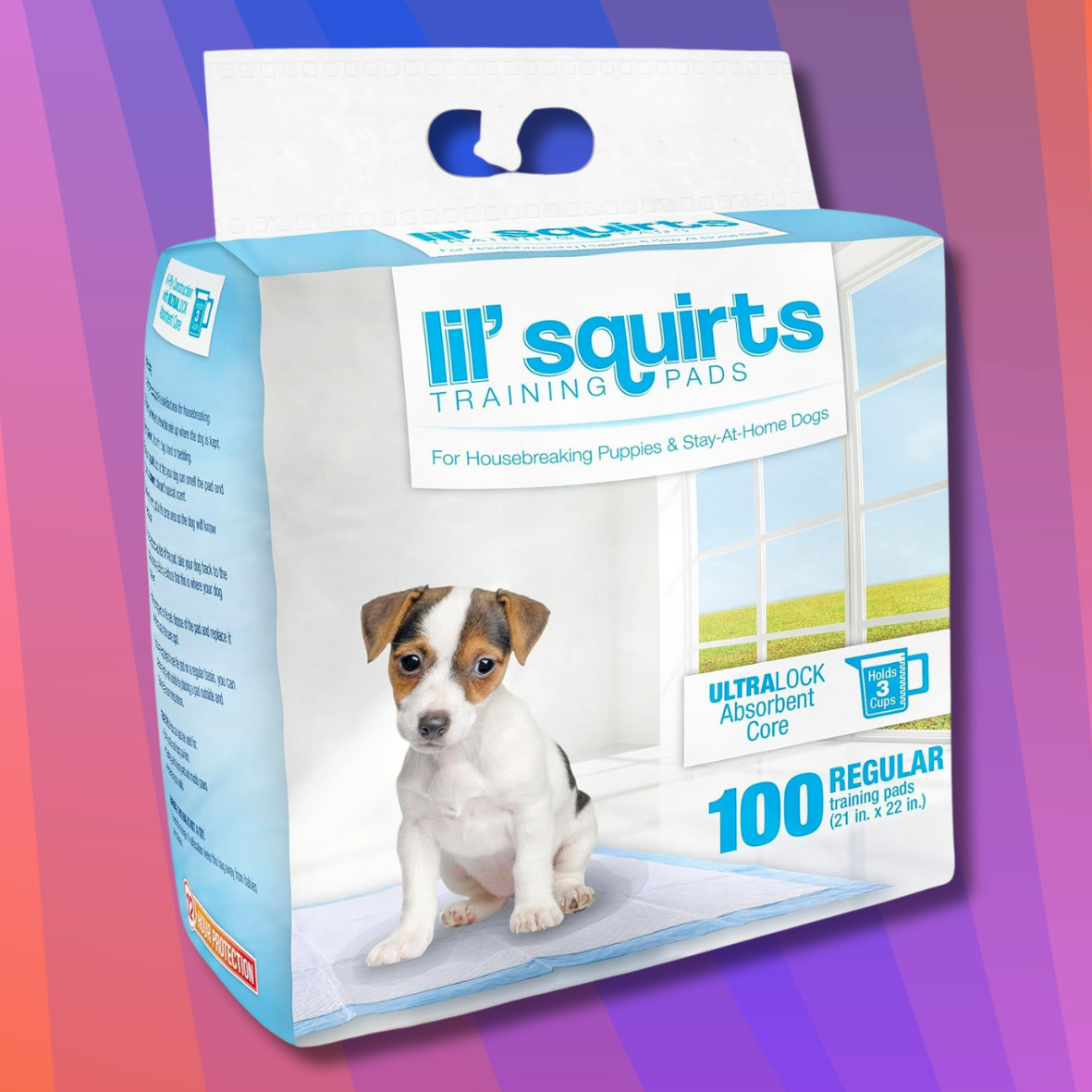 Lil Squirts Dog and Puppy Training Pee Pads, Absorbent, 100 Count, 21 ” x 22 “