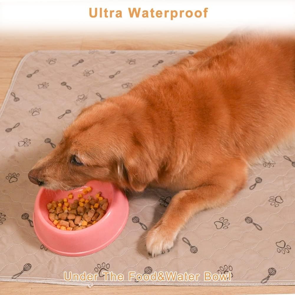2Pack Pee Pads for Dogs Reusable+Free Dog Comb, Waterproof Rug 36”x48, Absorb…