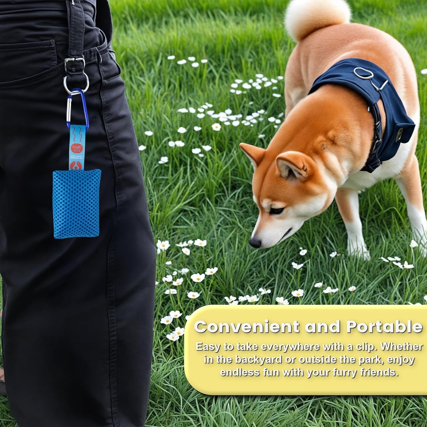 Dog Scented Training Kit Fun for Dogs- Nose Work for Dogs, Hide and Seek Dog Toy
