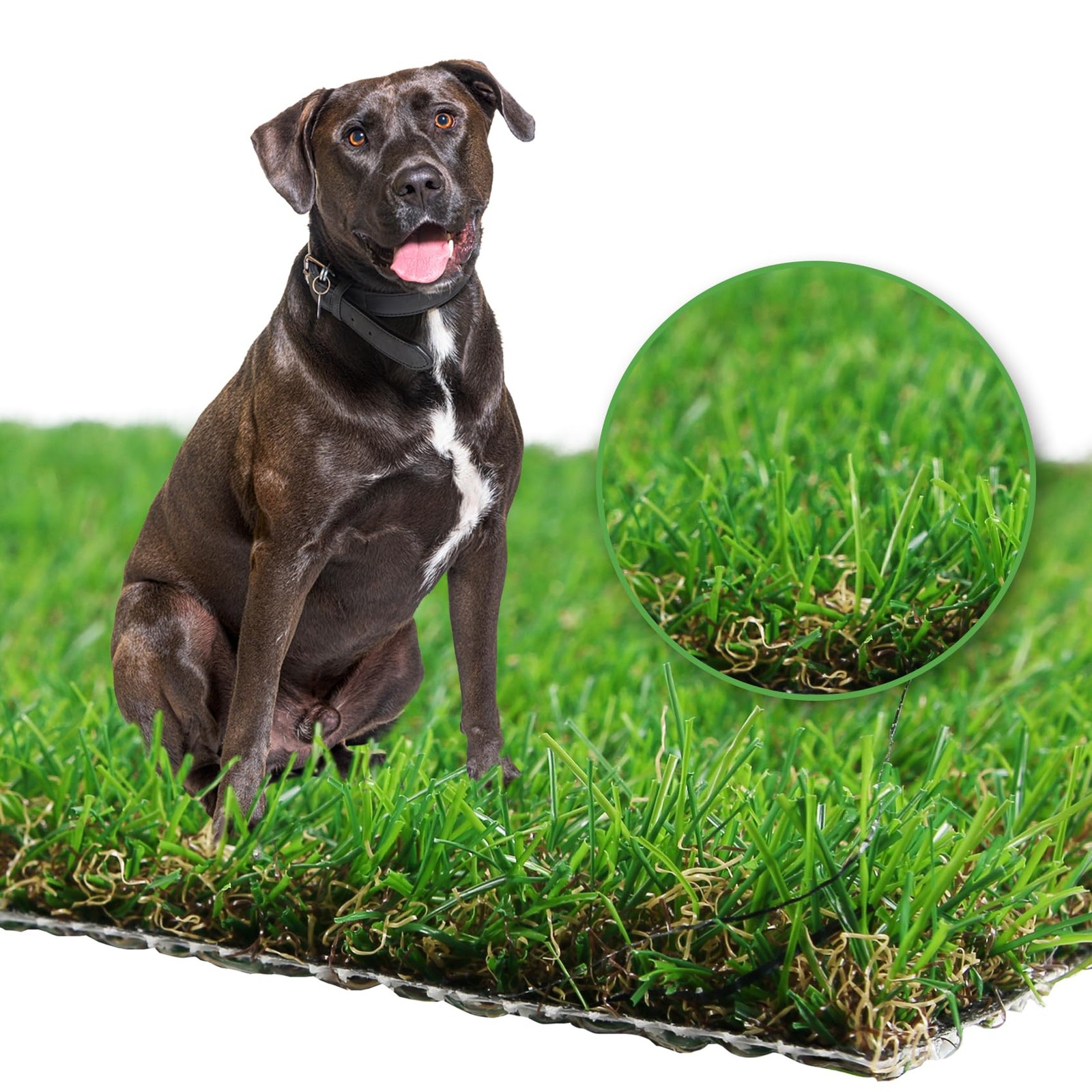 GLOBREEN Large Fake Grass for Dogs Potty Training, 4 FT X 6FT Realistic Pets …