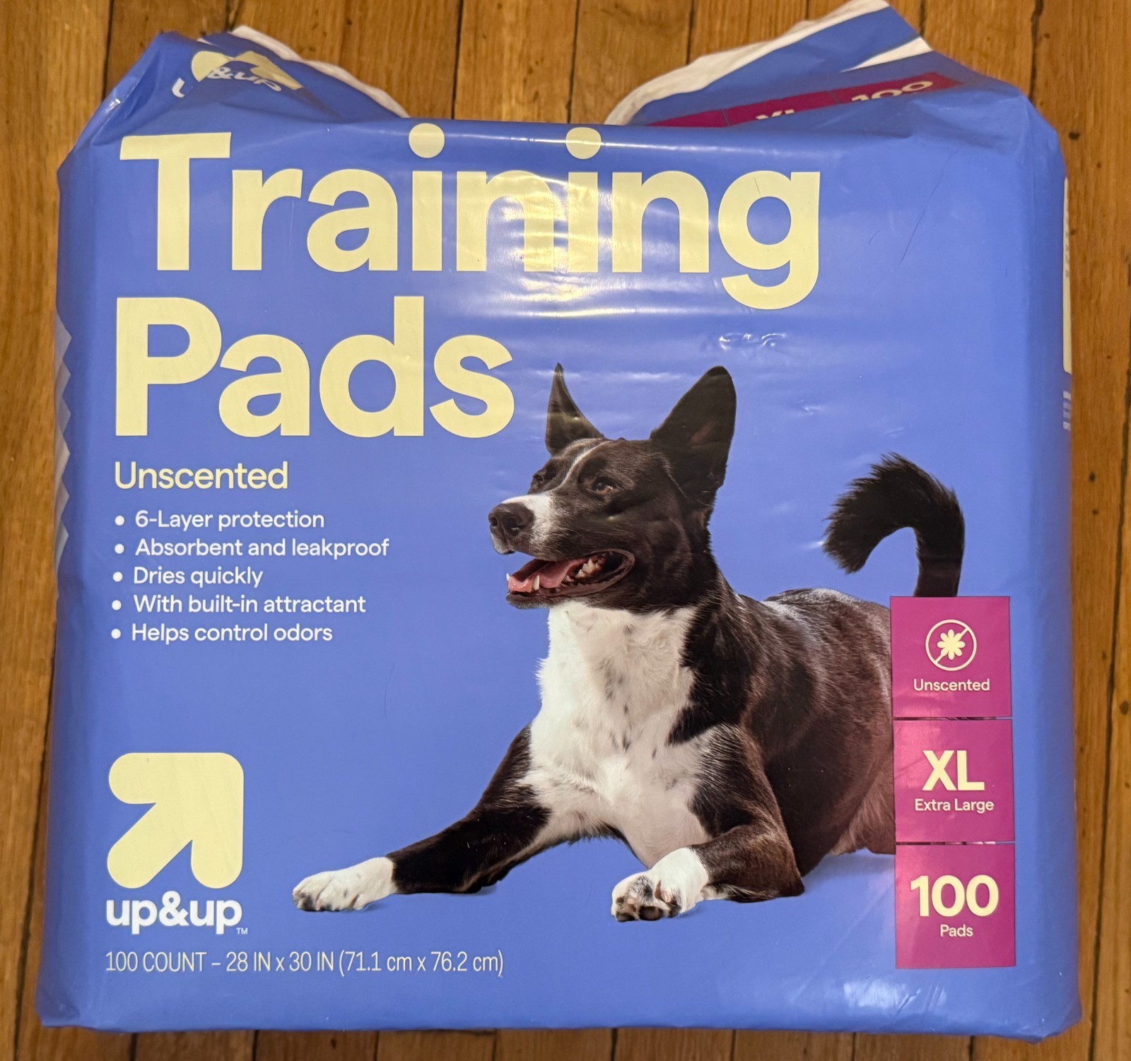 Dog Training Pads – XL – 100ct – Unscented- UP&UP