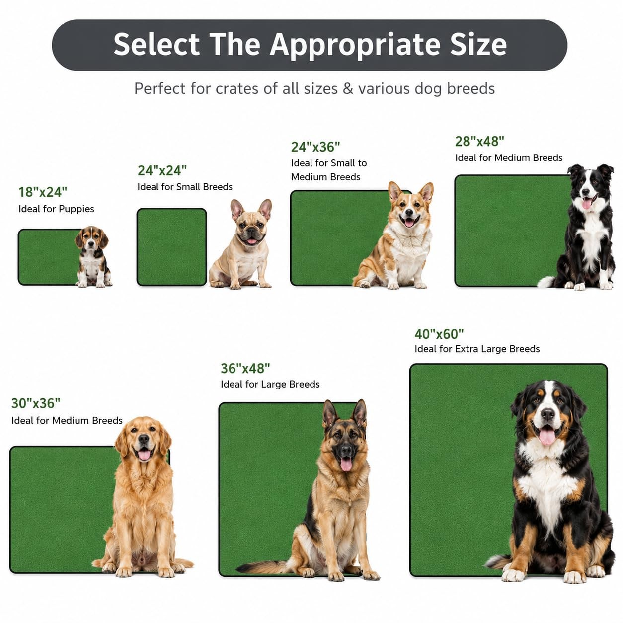 Zlune 4 Pack Washable Pee Pads for Dogs 18″x24″, Reusable Training Puppypads …