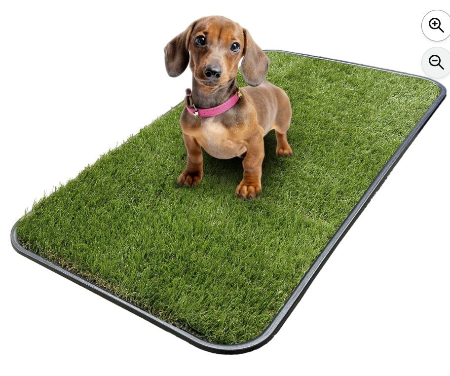 Artificial Grass Puppy Potty Training Pad with Tray – 15″x30″ Reusable Solution