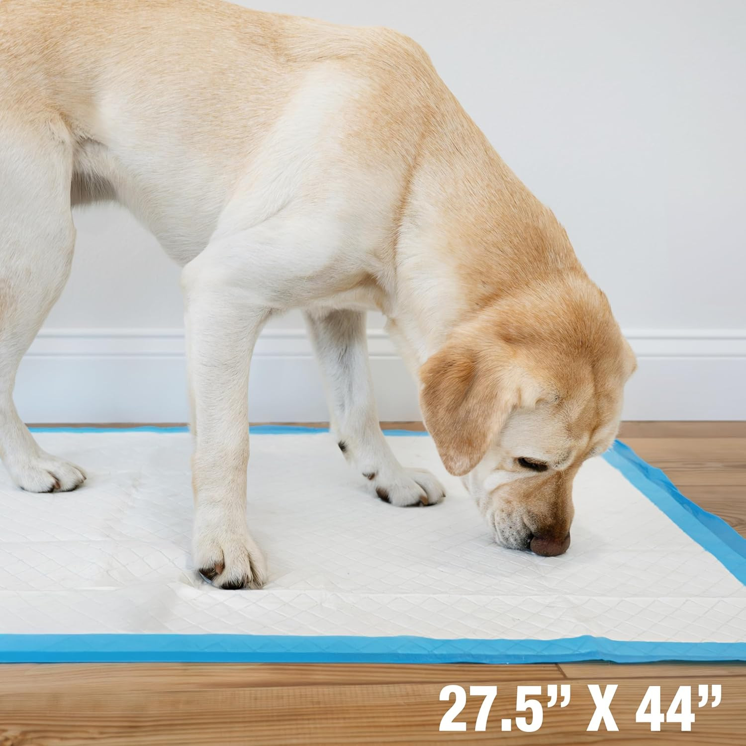 Wee-Wee Superior Performance Gigantic Pee Pads for Extra Large Dogs,