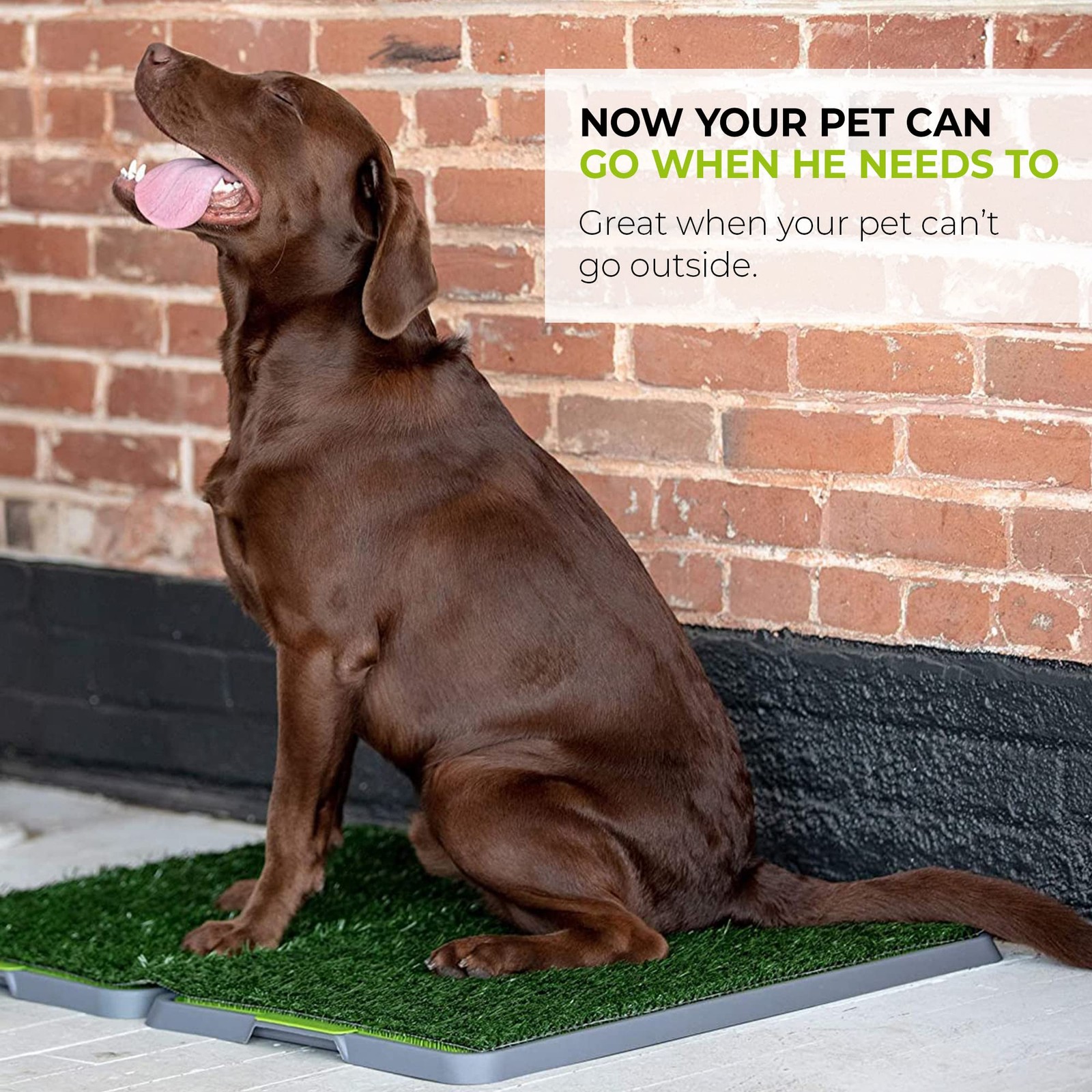 Dog Grass Pad Fake Grass for Dogs to Pee on, Indoor Dog Potty for Dogs Over 1…