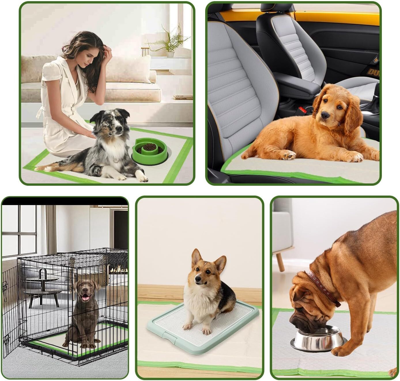 30pcs XL Pee Pads – Dogs Thicker ECO Green Disposable Puppy Training Pads-28×34″