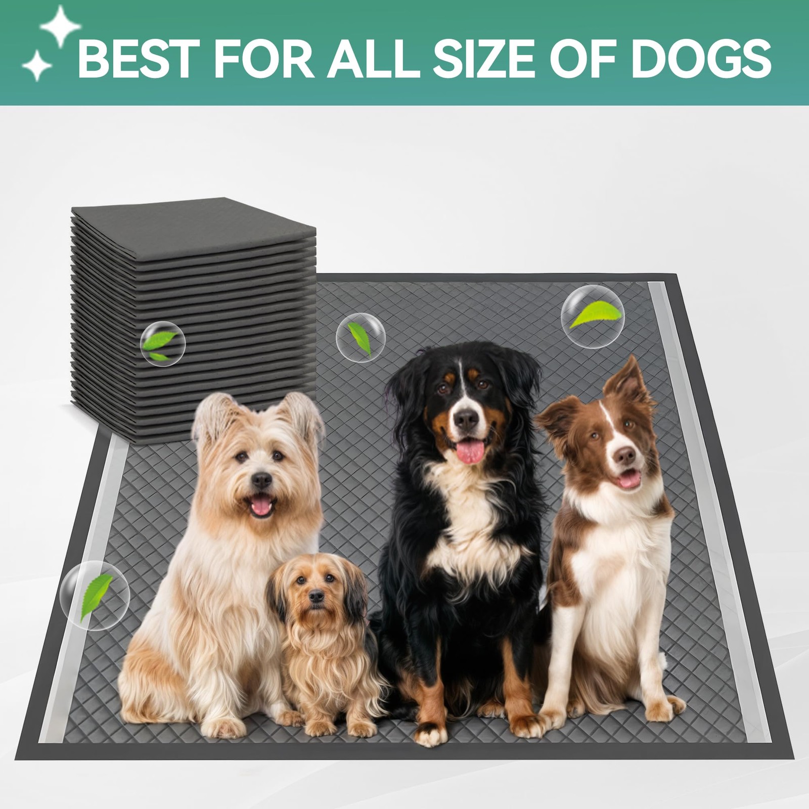 Pee Pad Holder, XL Dog Litter Box, Puppy Pads Holder, Puppy Potty Tray for Sm…