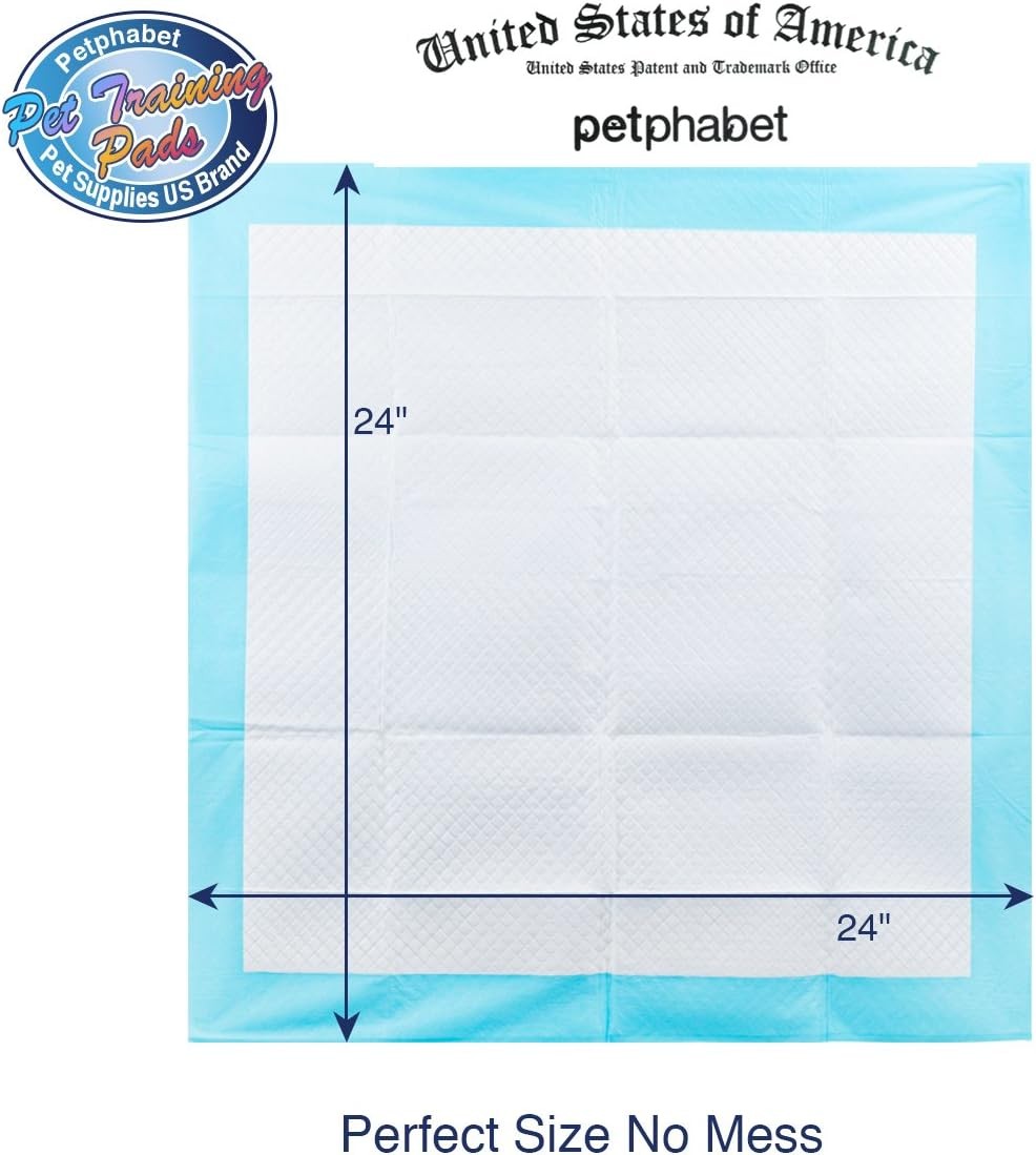 Petfamily Super-Absorbent 24 by 24 Inches Dog Training Pads – 100 Count of Pads